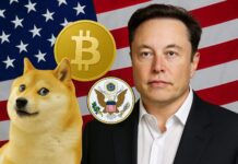 DOGE’s Impact on the US Government DOGE